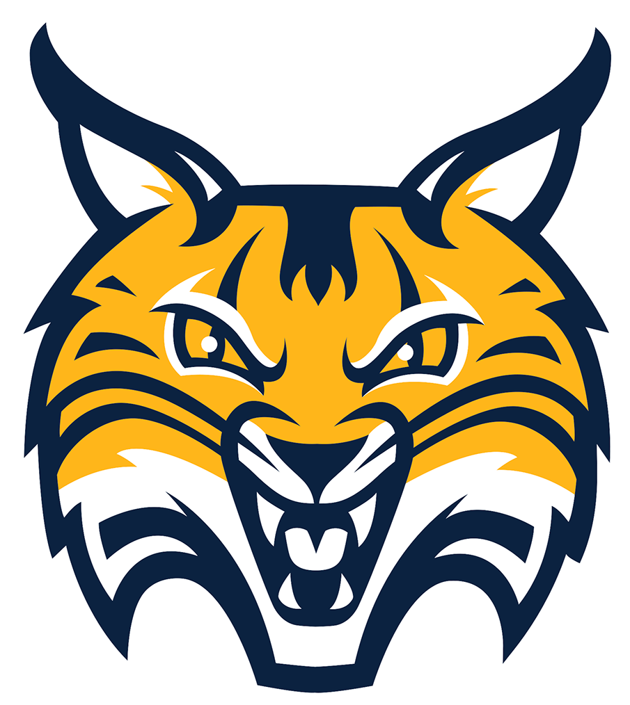 Quinnipiac Bobcats 2019-Pres Alternate Logo 02 iron on paper